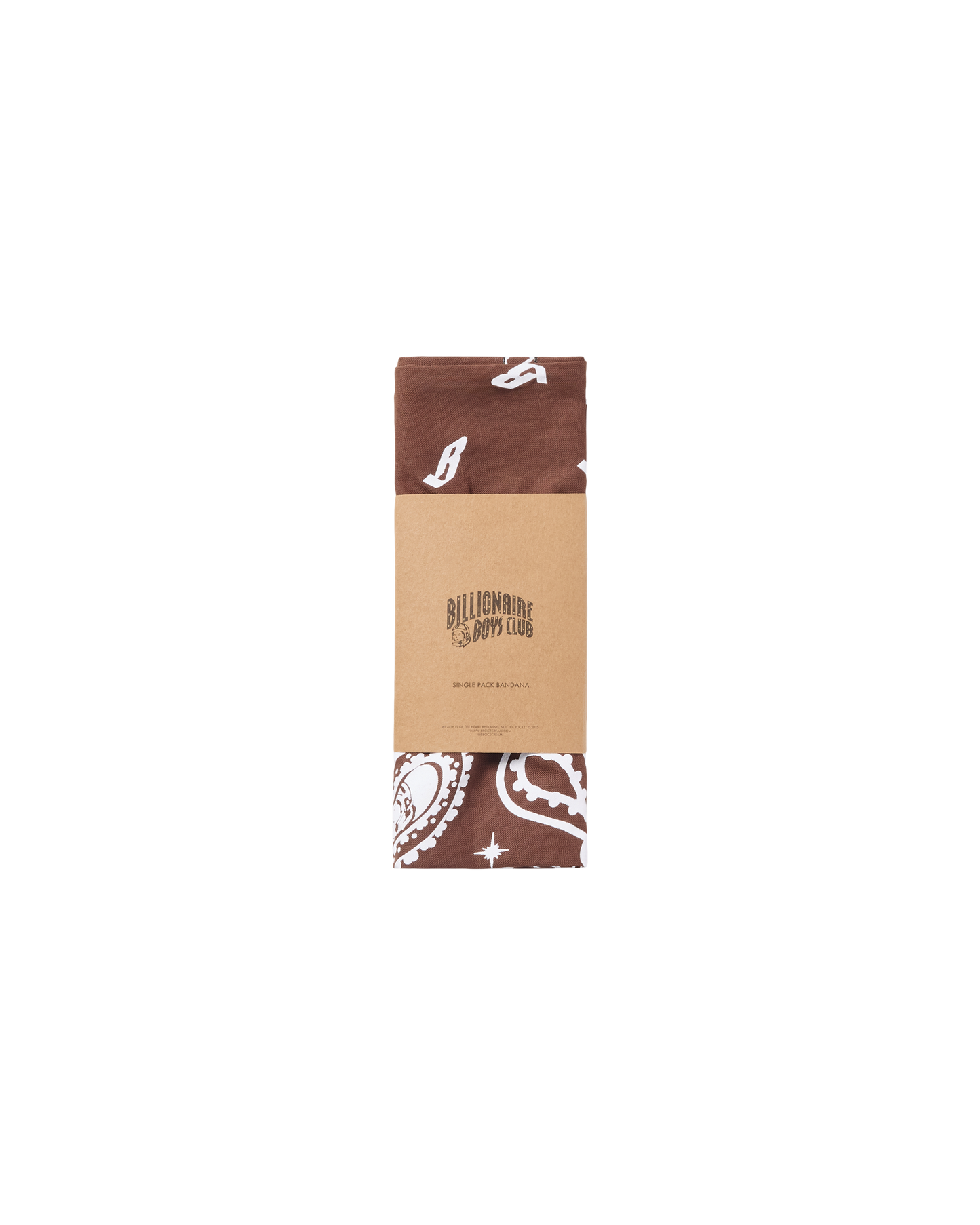 Flying B Paisley Bandana