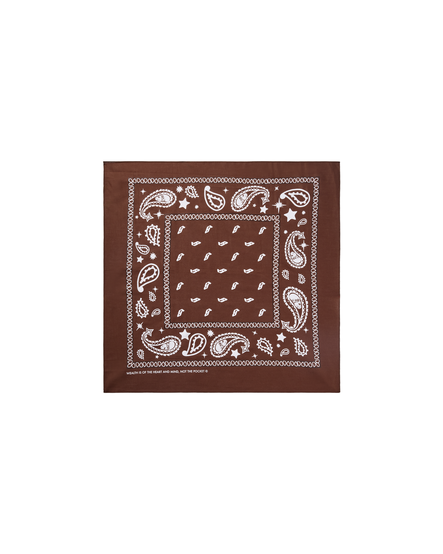 Flying B Paisley Bandana