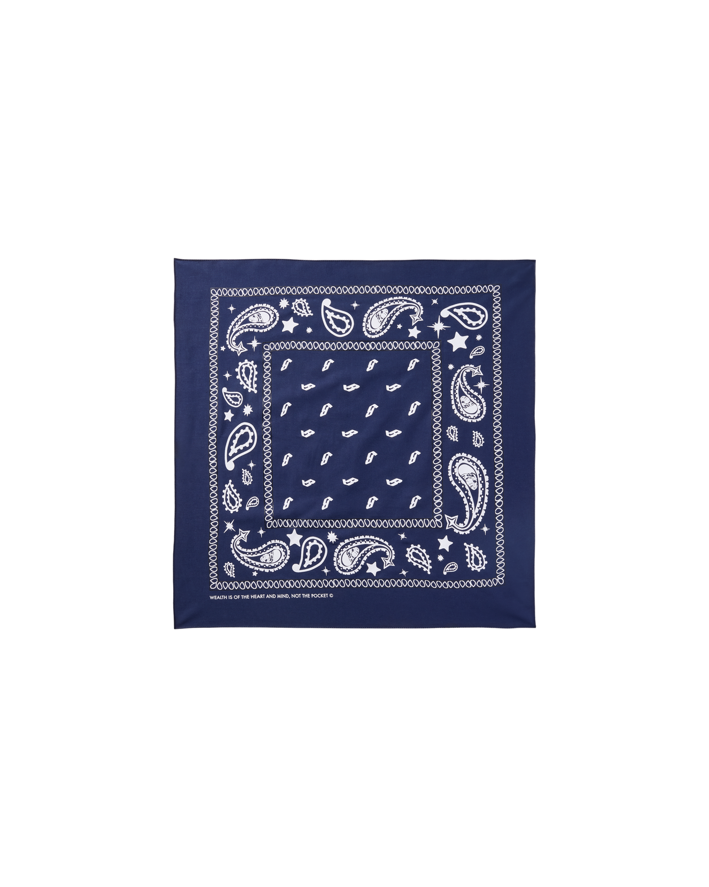 Flying B Paisley Bandana