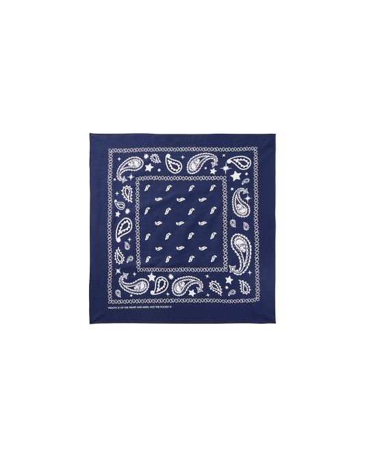 Flying B Paisley Bandana