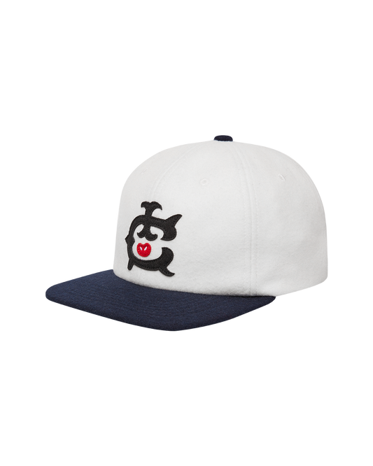 IC 6 Panel Cap