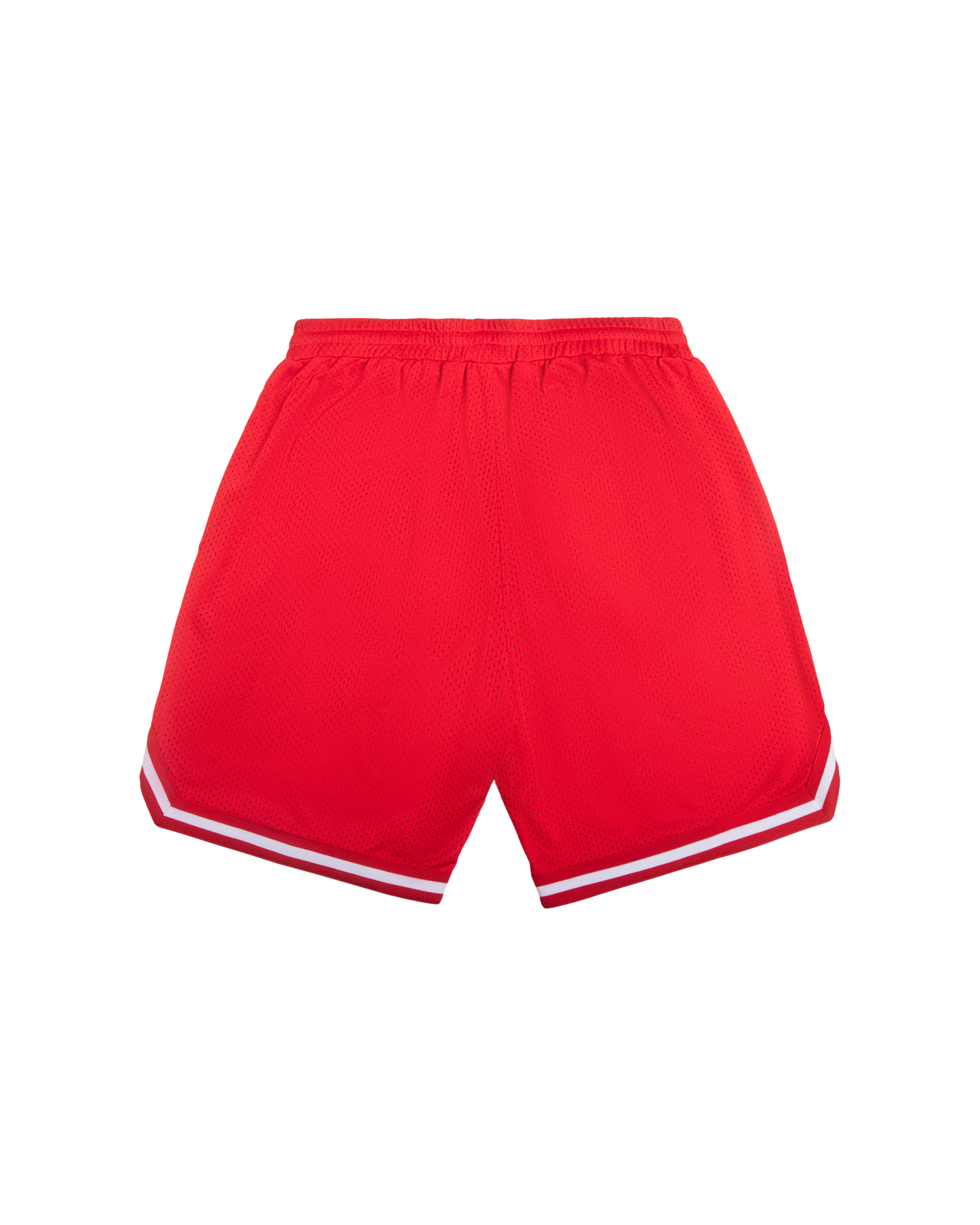 Team IC Running Dog Basketball Short