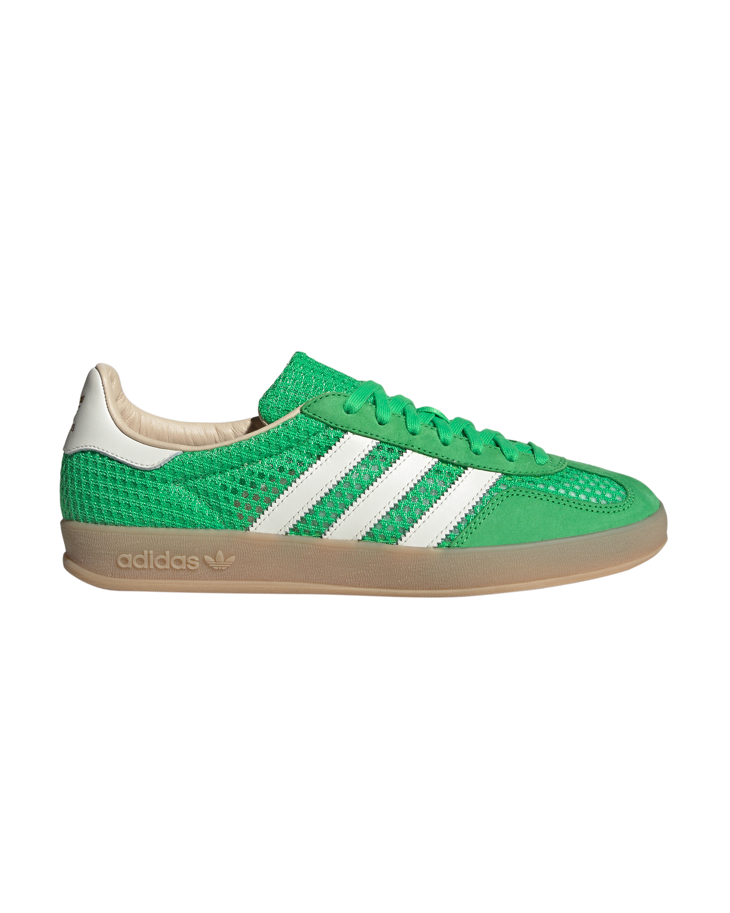 Gazelle Indoor
