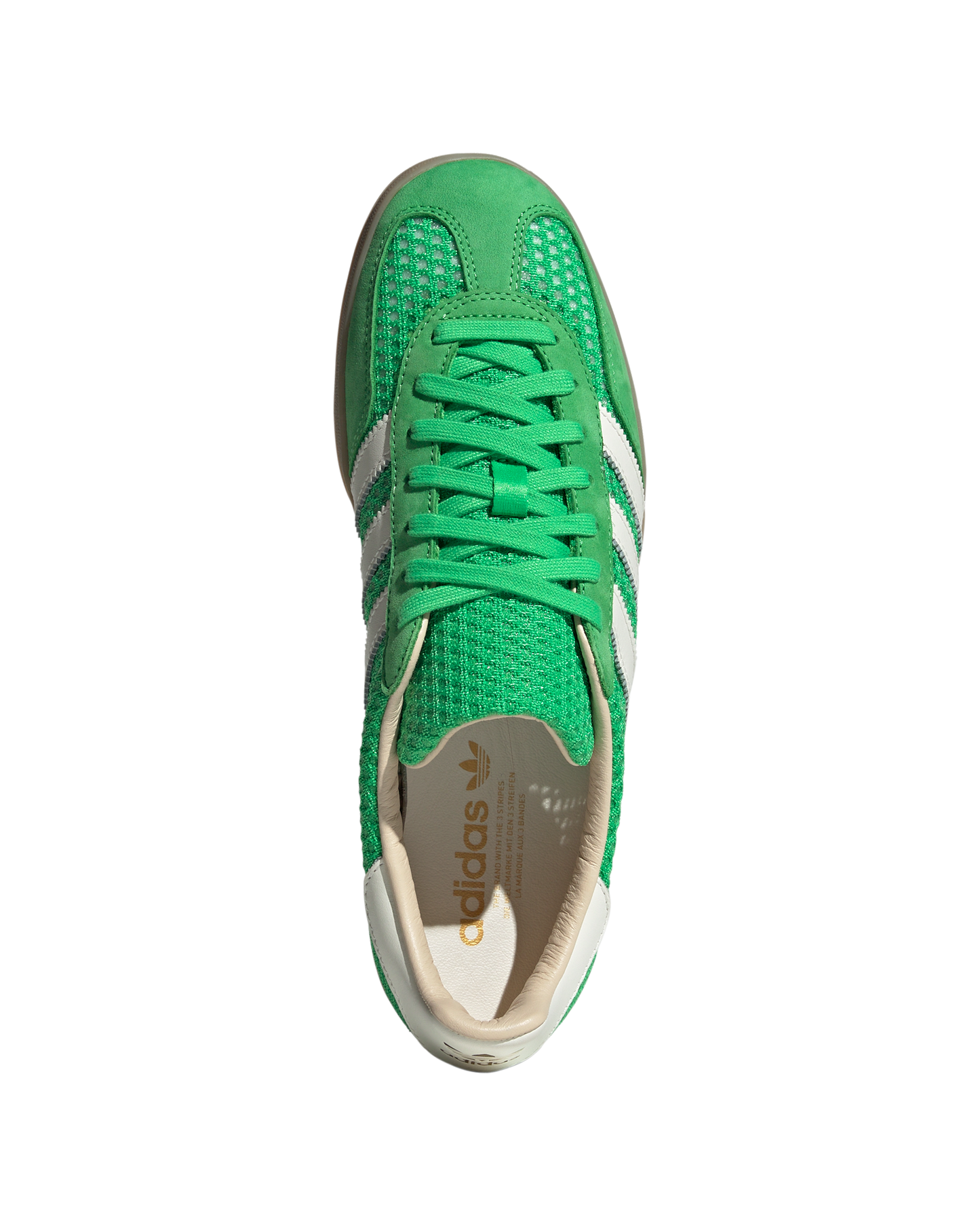 Gazelle Indoor
