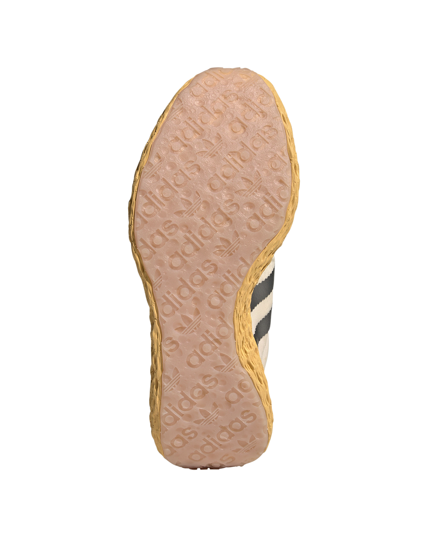 Zponge