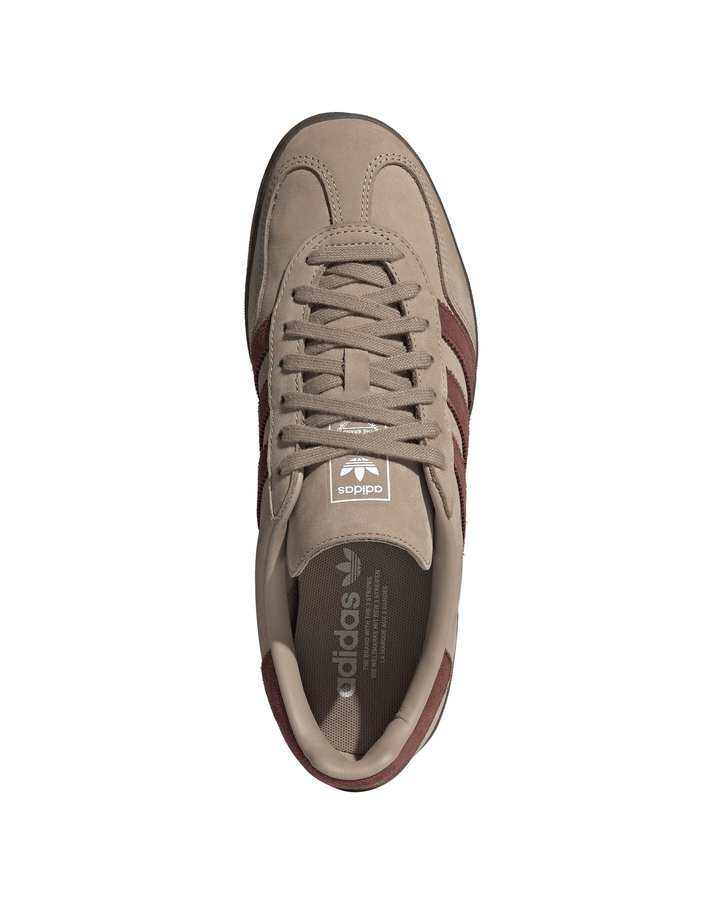Gazelle Indoor