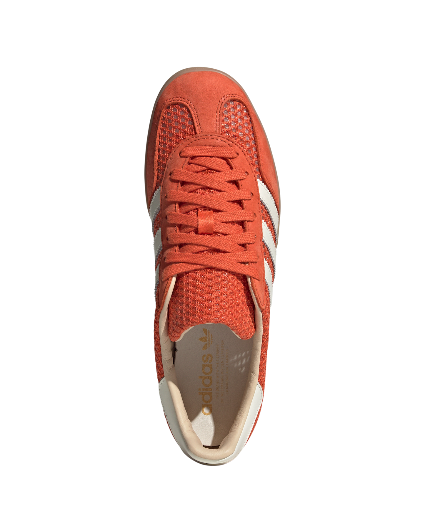 Gazelle Indoor
