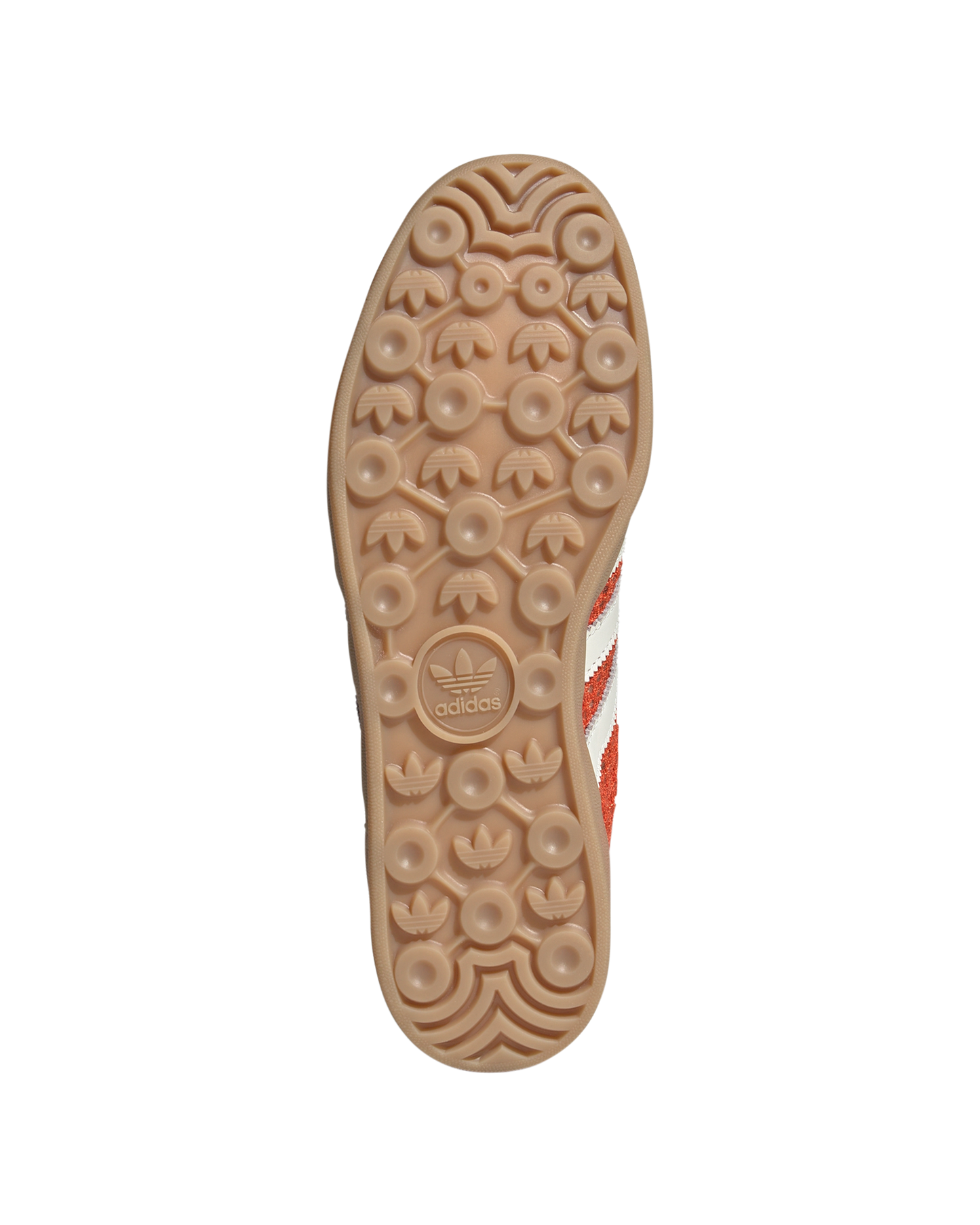 Gazelle Indoor