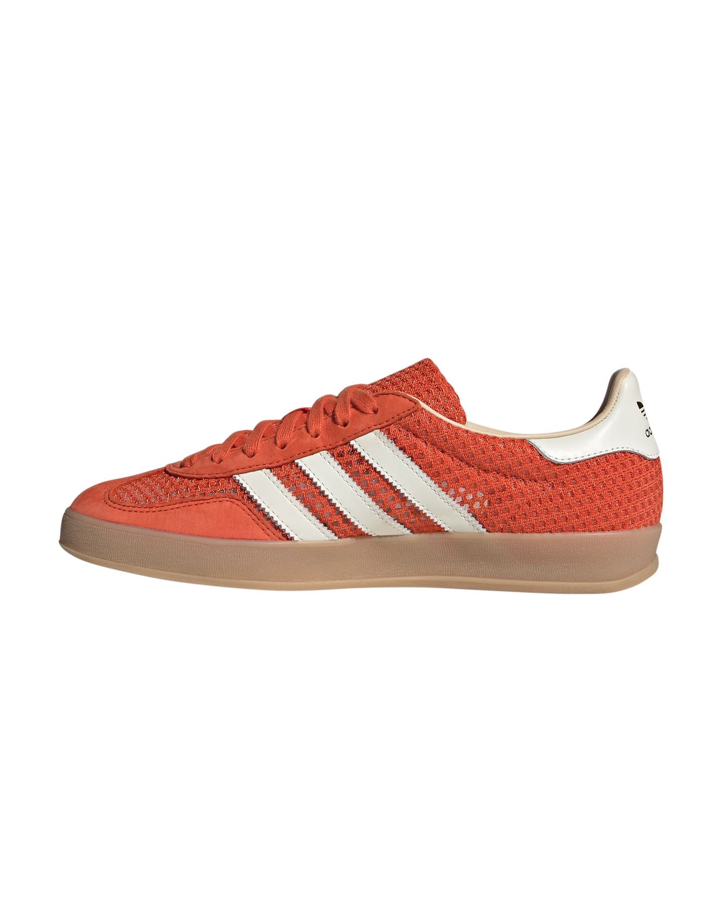 Gazelle Indoor