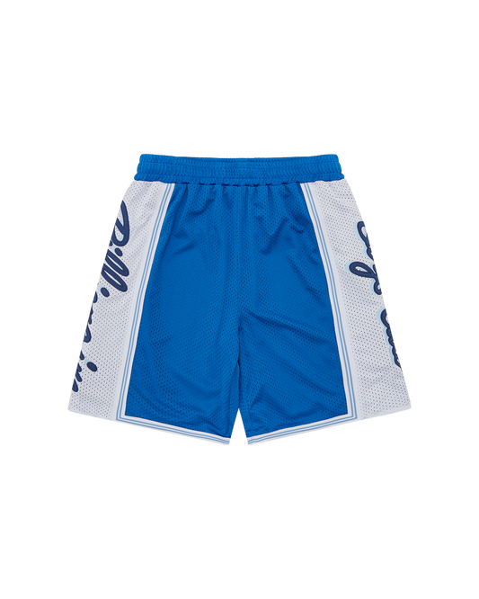 Script Logo Basketball Shorts