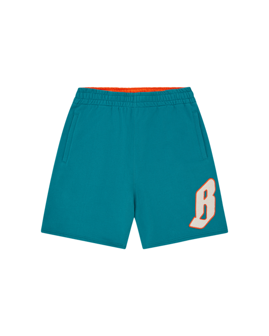 Flying B Chenille Sweatshorts