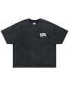 Faded Curve SS Knit