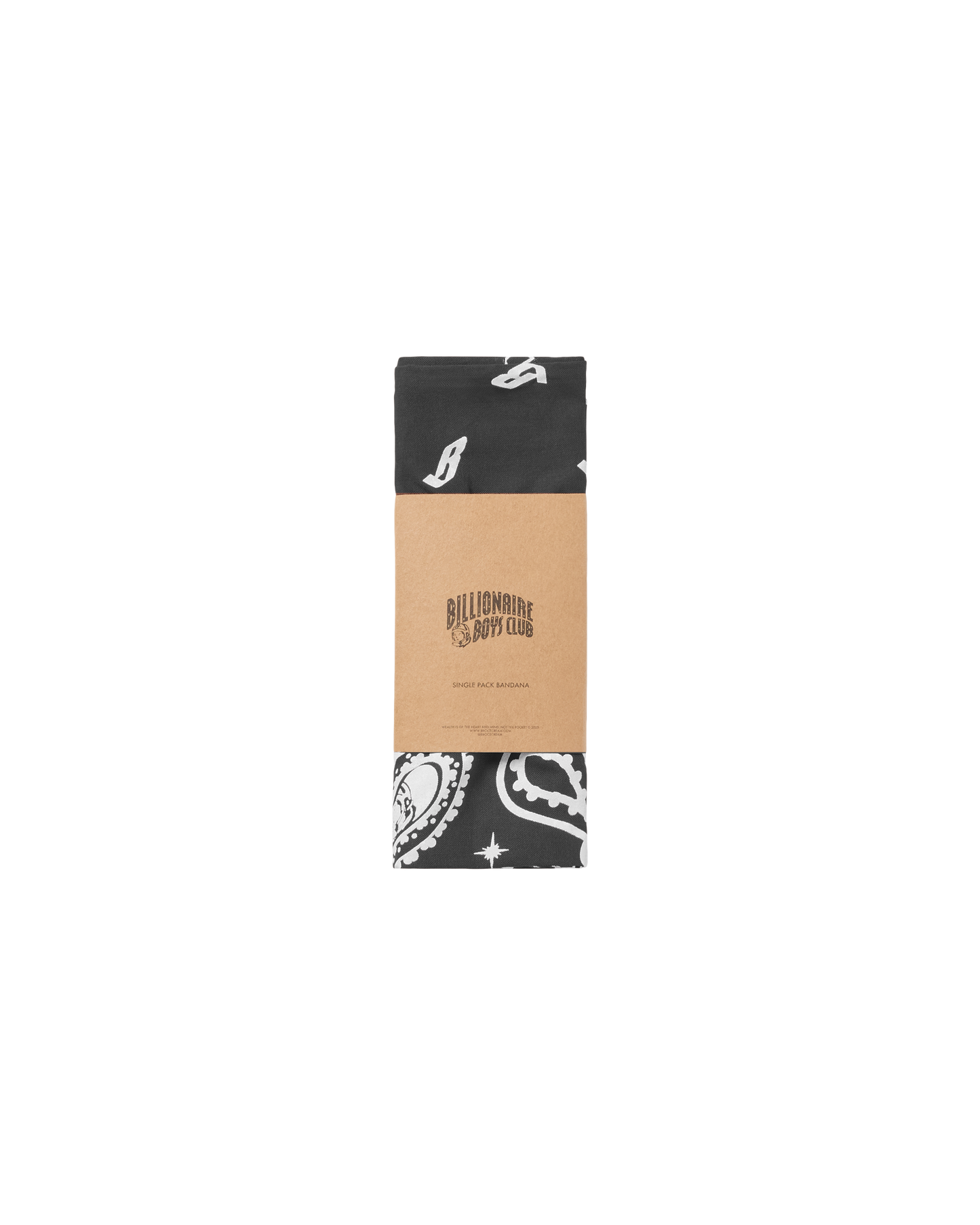 Flying B Paisley Bandana