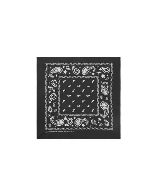 Flying B Paisley Bandana