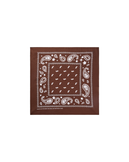 Flying B Paisley Bandana