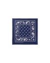 Flying B Paisley Bandana