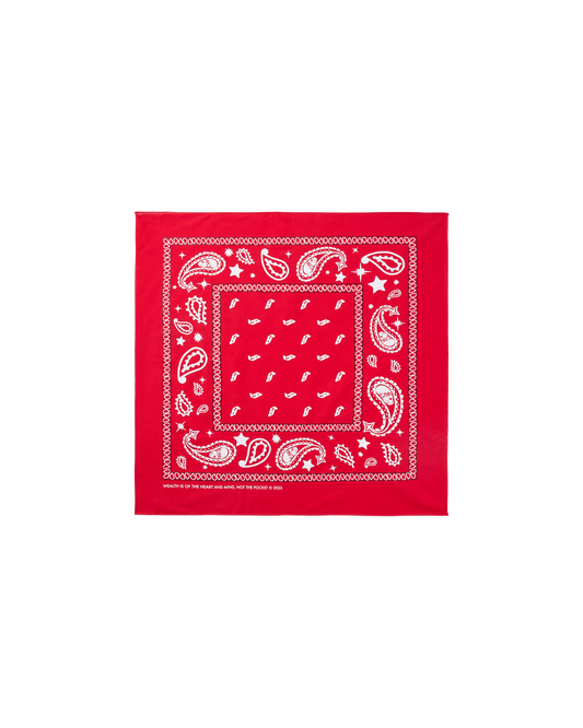 Flying B Paisley Bandana
