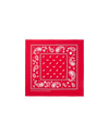 Flying B Paisley Bandana