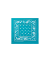 Flying B Paisley Bandana