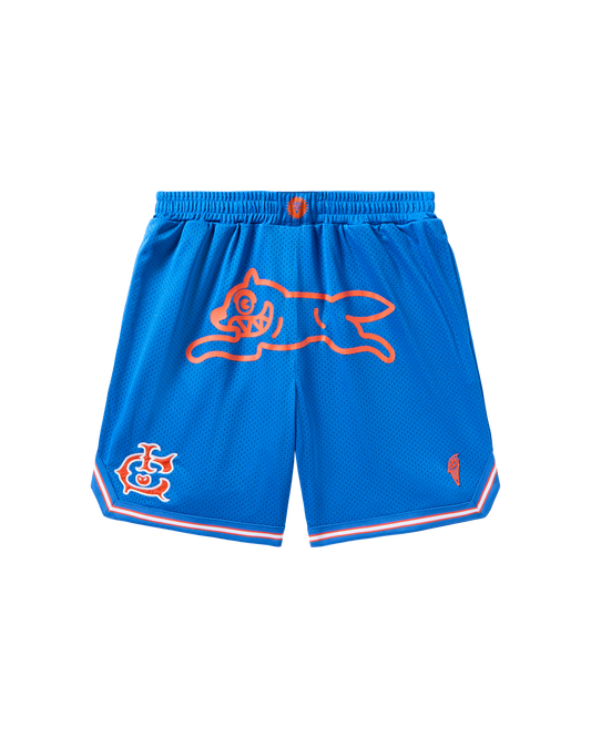Team IC Running Dog Basketball Shorts