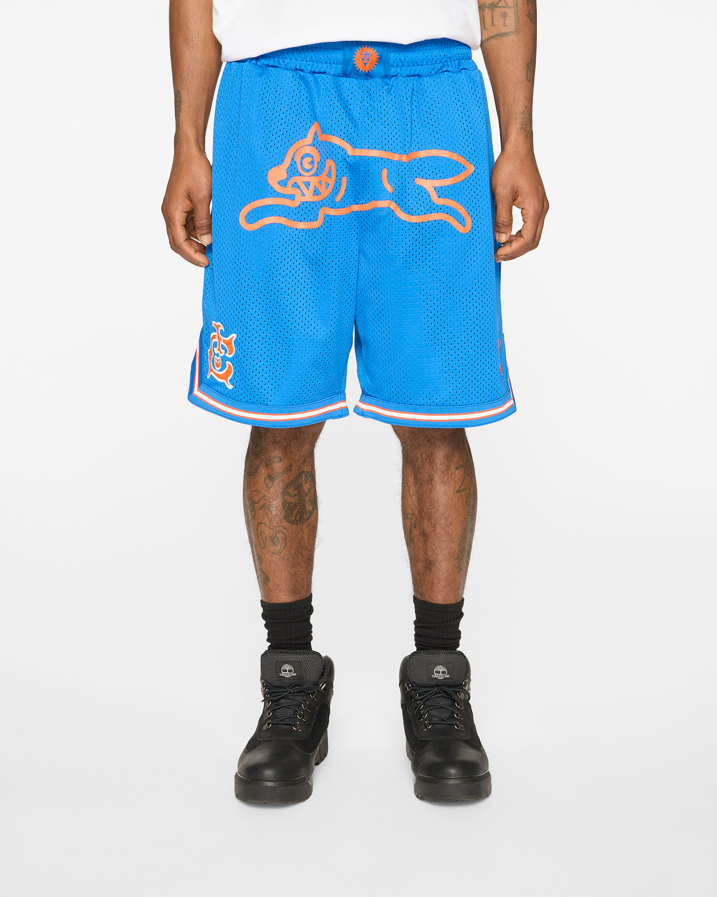 Team IC Running Dog Basketball Shorts