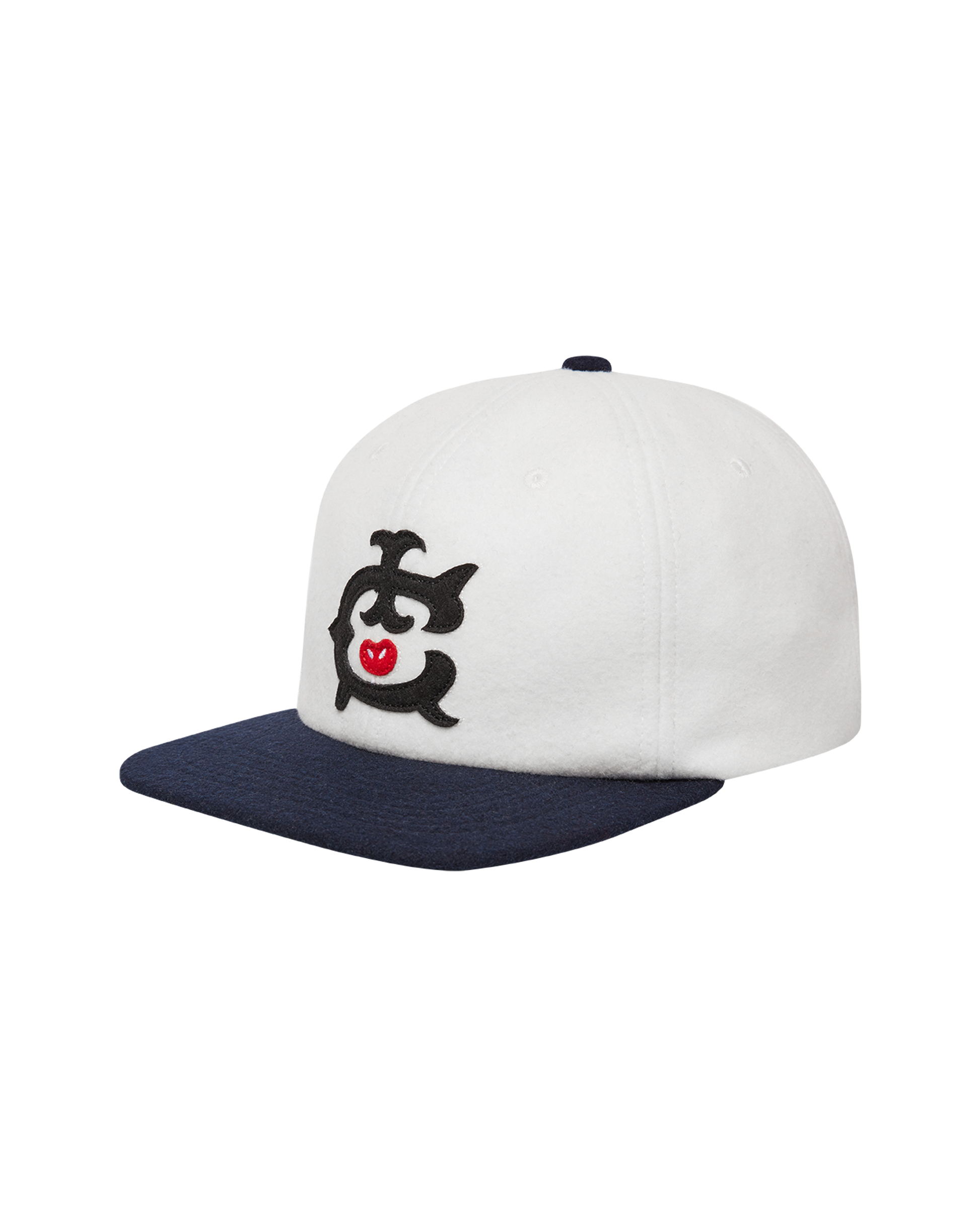 IC 6 Panel Cap