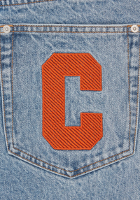 Running Dog Denim Shorts