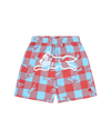 Checker Running Dog Swim Shorts