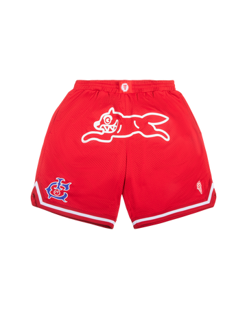 Team IC Running Dog Basketball Short