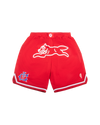Team IC Running Dog Basketball Short
