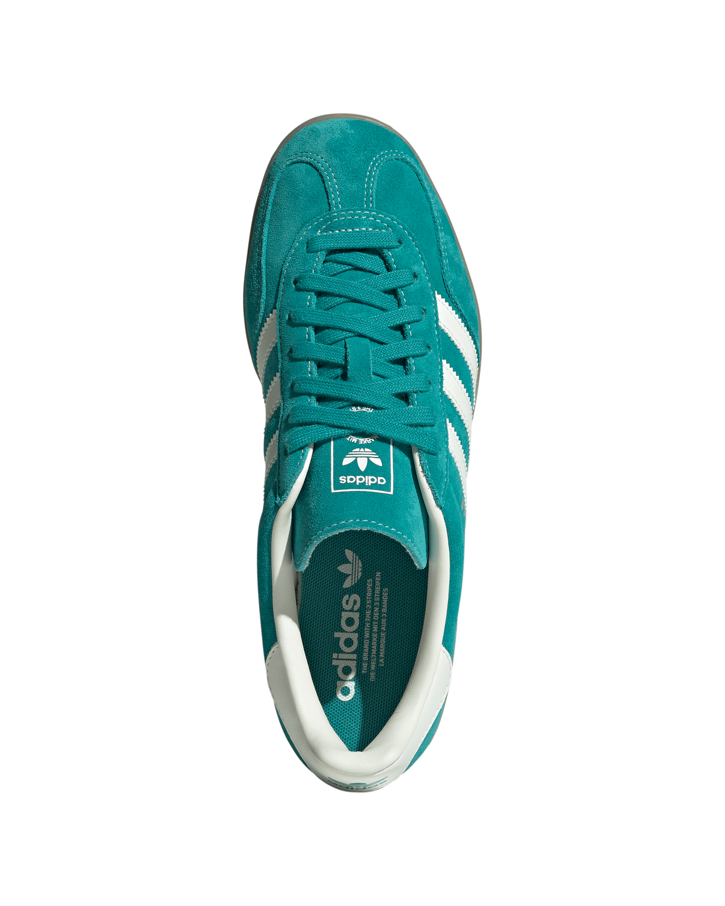 Gazelle Indoor