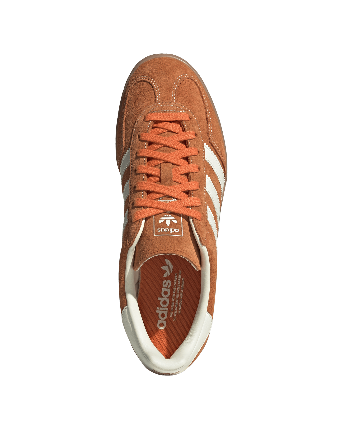 Gazelle Indoor
