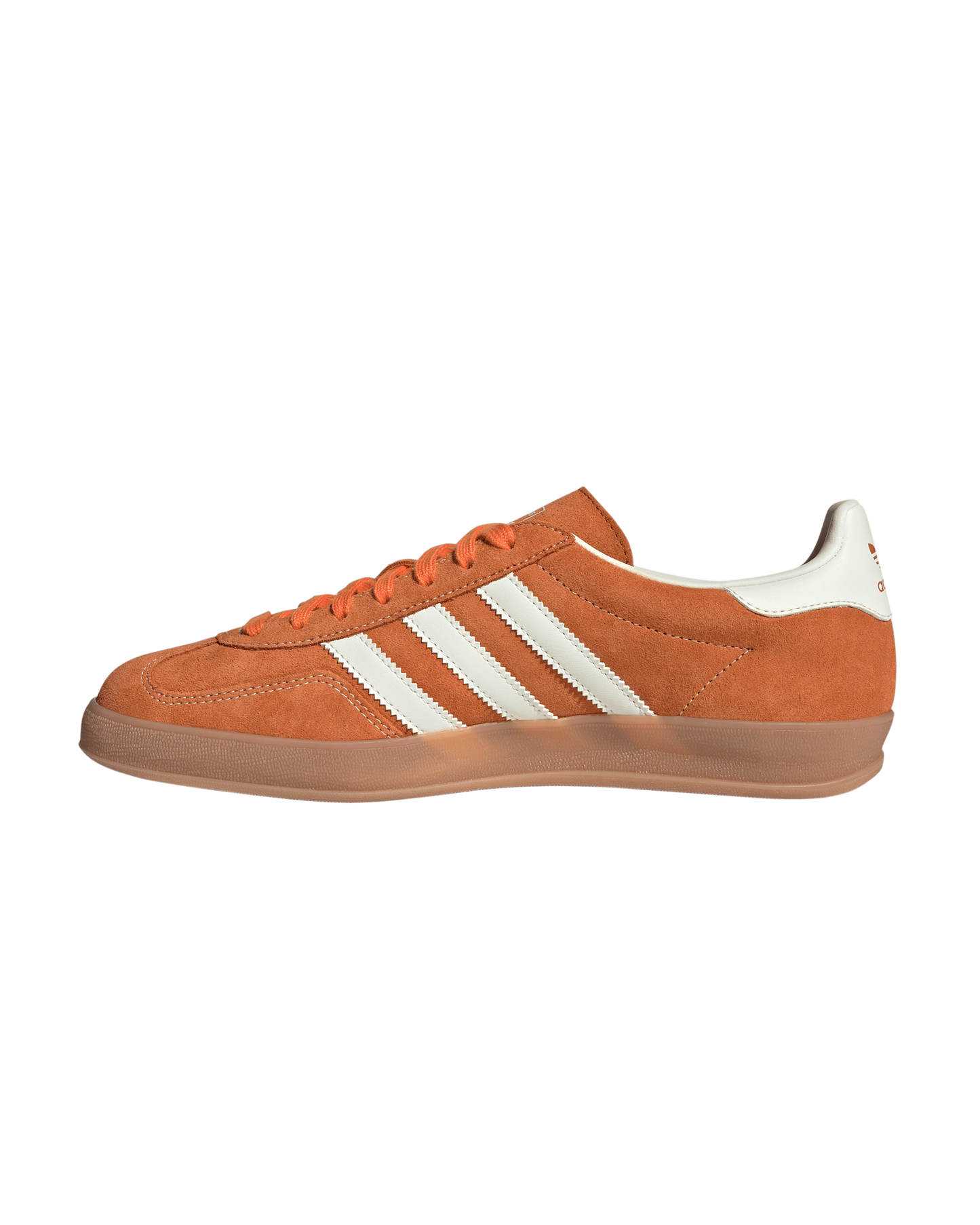 Gazelle Indoor