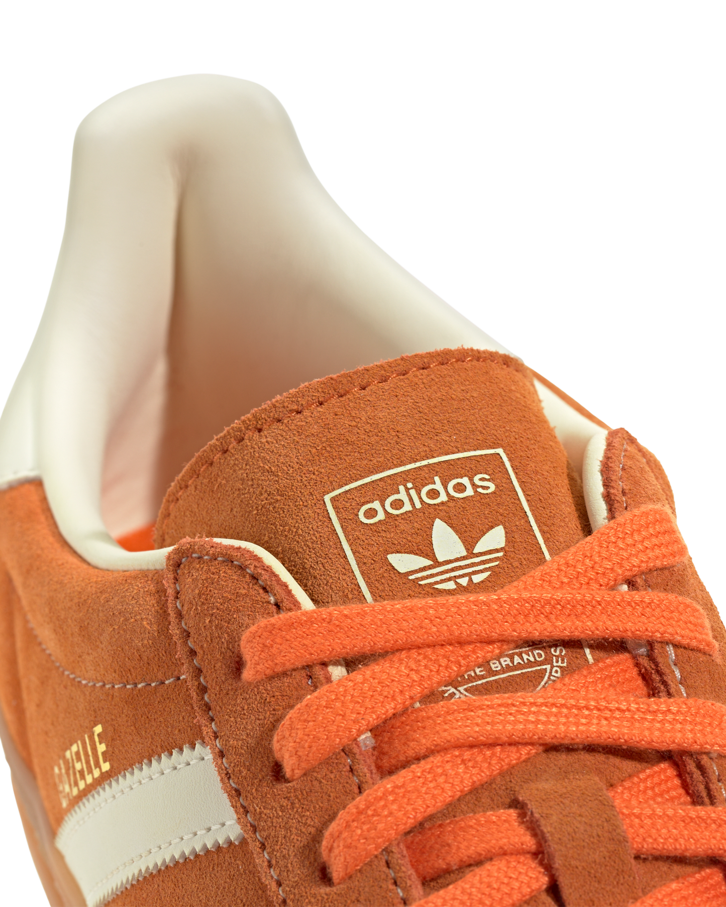 Gazelle Indoor