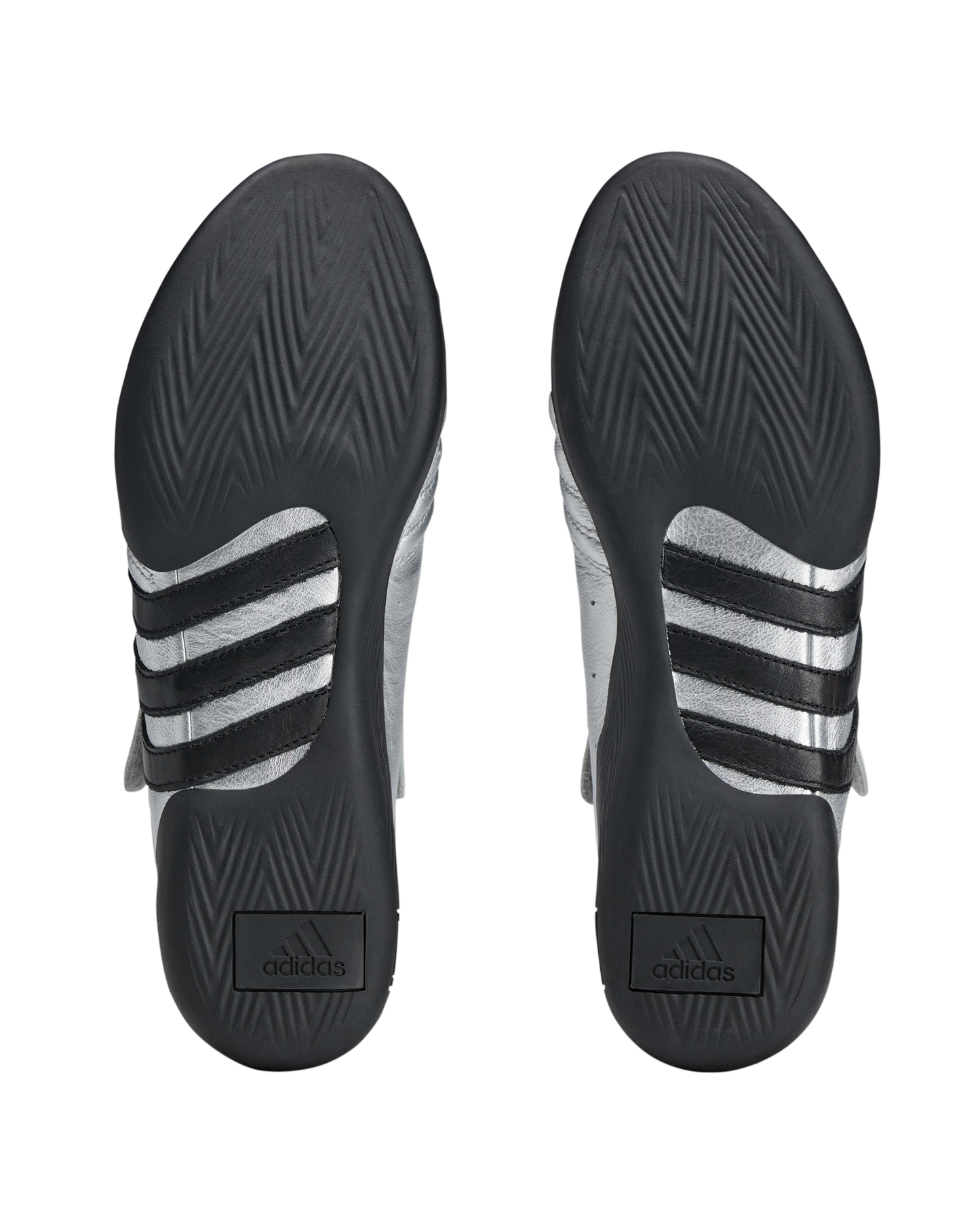 Techwondo Brain Dead