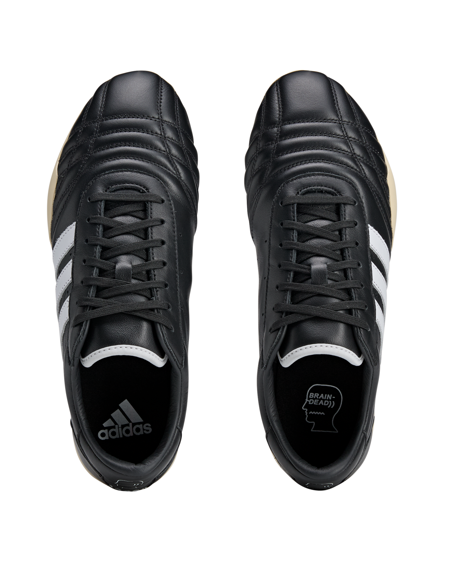 Taekwondo Brain Dead