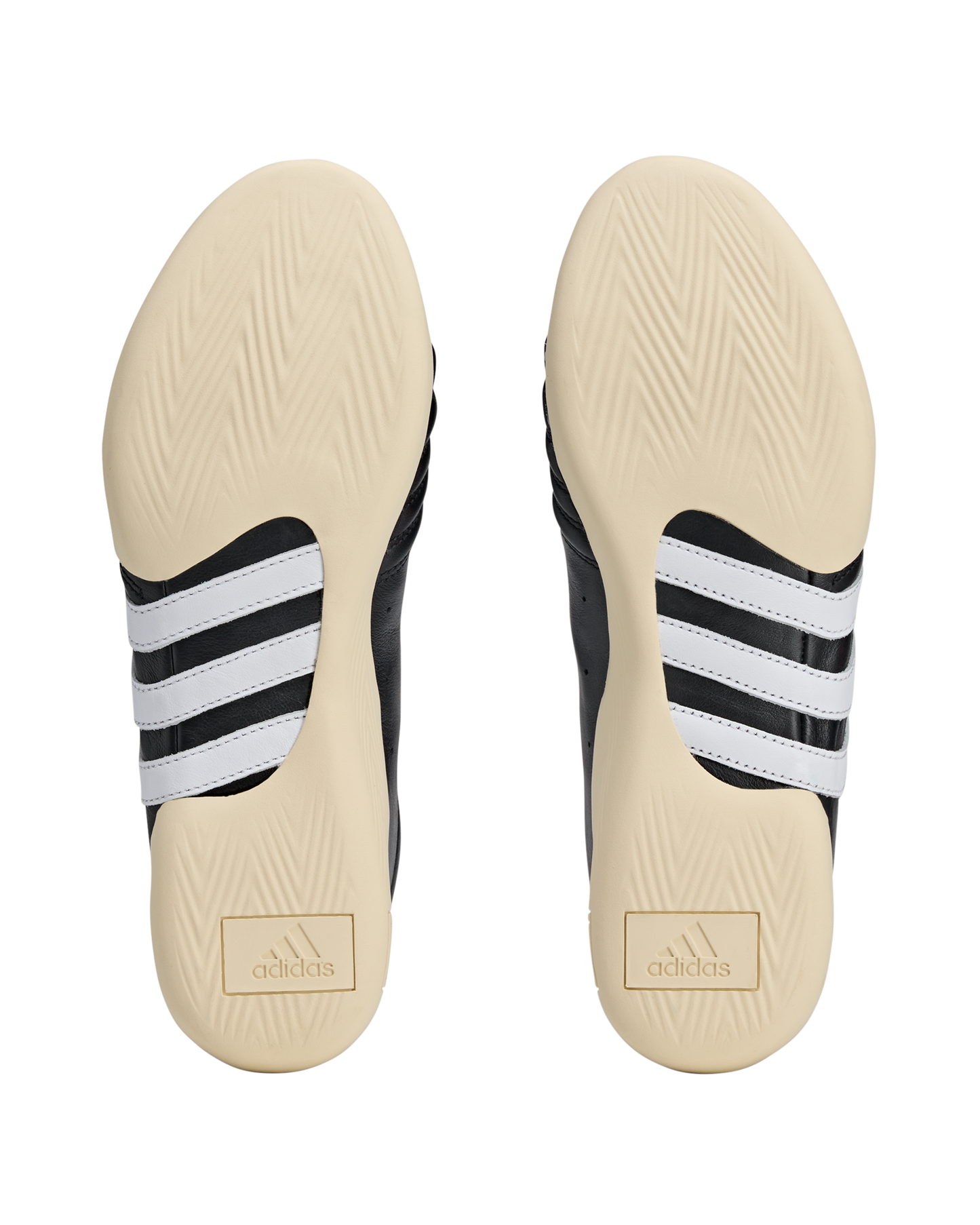 Taekwondo Brain Dead