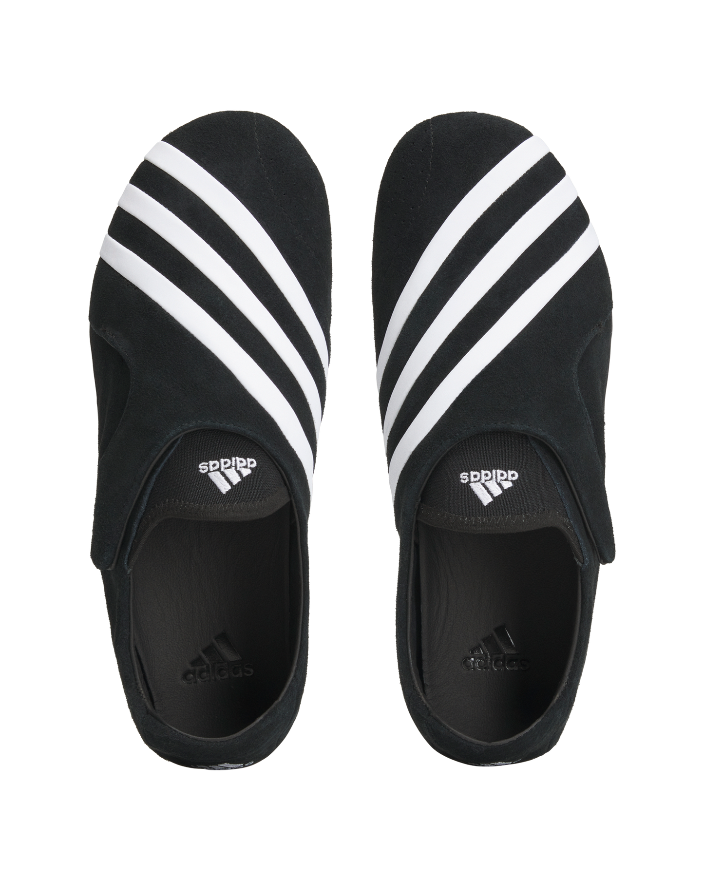 VIRGINIA Vario Flat Earther